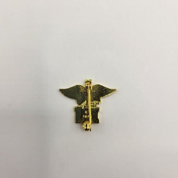 Registered Nurse RN Pin Medical Caduceus Pin Lapel Pin Registered Nurse Gift - Picture 2 of 4